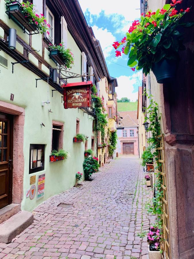 La Ruelle Alsacienne, Charme Alsacien Et Confort Moderne Riquewihr Esterno foto