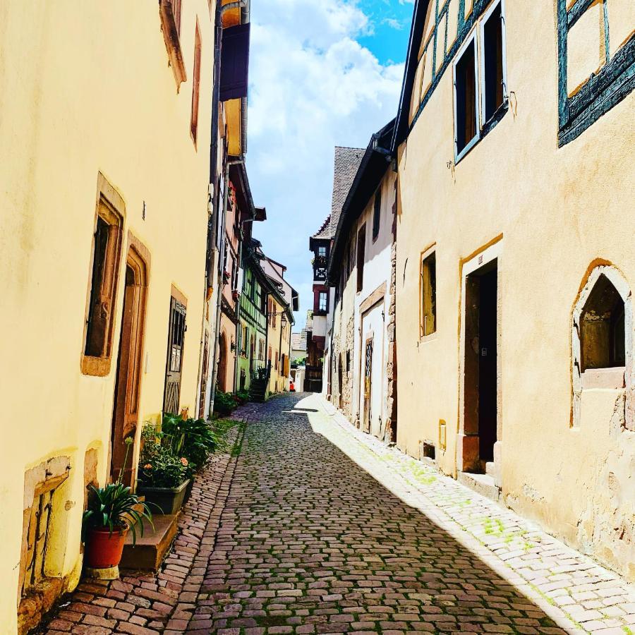 La Ruelle Alsacienne, Charme Alsacien Et Confort Moderne Riquewihr Esterno foto